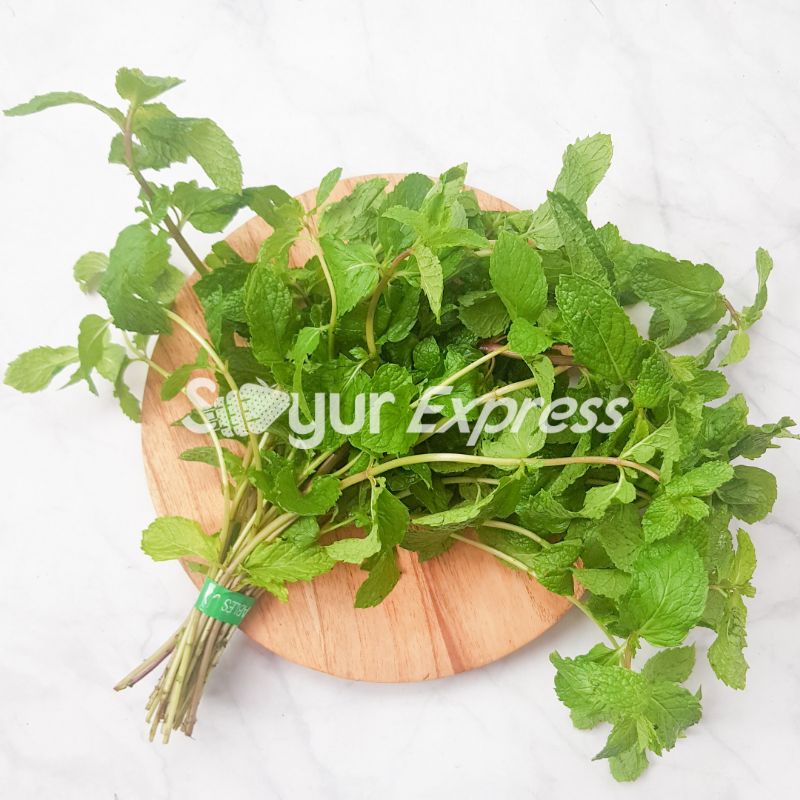 KIRIM INSTAN Daun Mint Segar / Peppermint