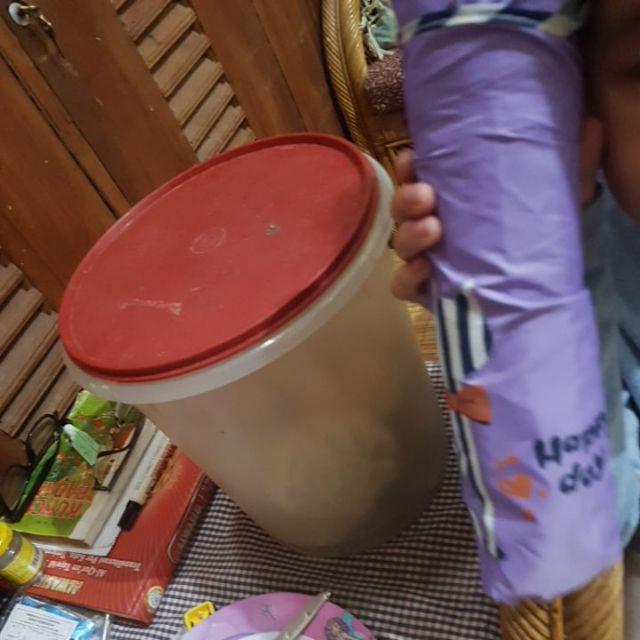 Tabasa Payung Lipat Cute Cat Garis