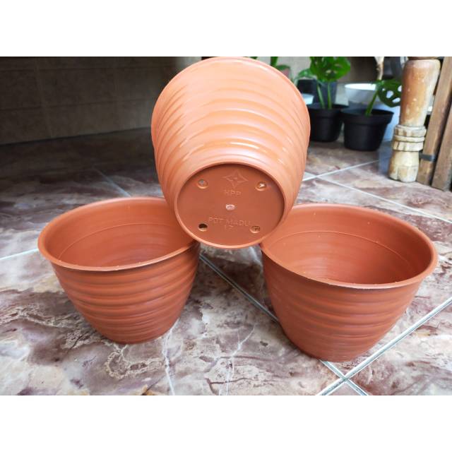 Pot 17 madu coklat / pot madu coklat / pot tanaman /