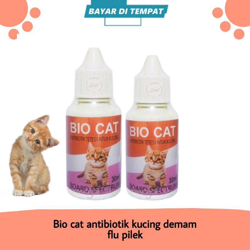 ANTIBIOTIK KUCING OBAT DEMAM FLU PILEK NGOROK VIRUS BIOCAT
