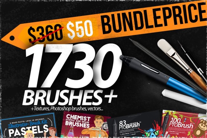 1730+ Brushes BLACK FRIDAY