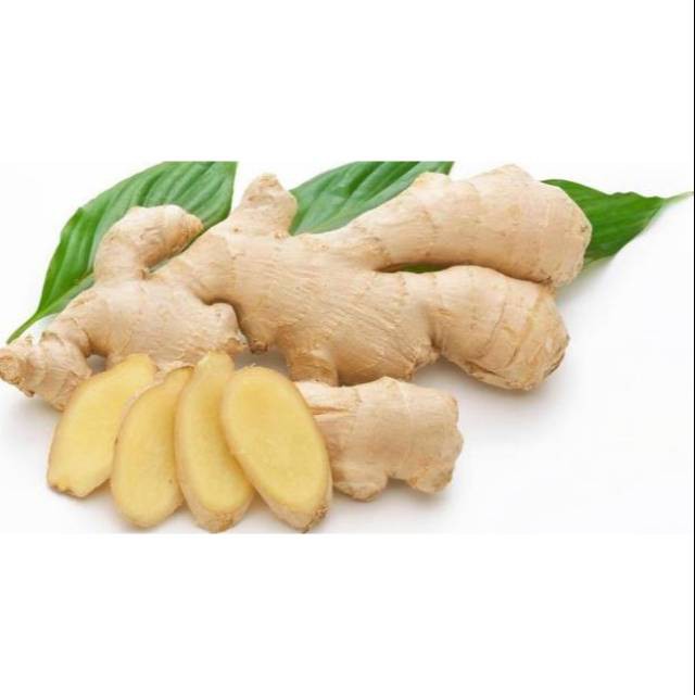

JAHE PUTIH Jahe Mprit 500gr 1/2kg