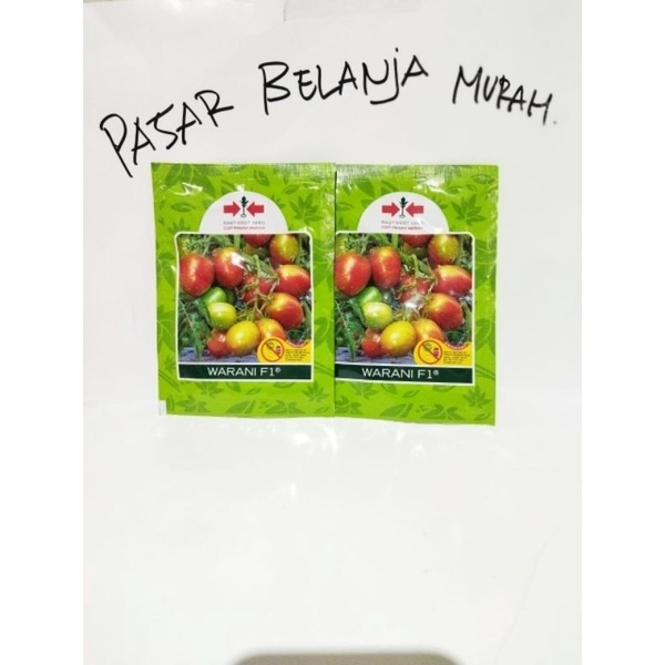BENIH BIBIT TOMAT WARANI F1 1.788 butir , umur panen 70 - 80 hst , bobot perbuah 110 - 130 gram . - 