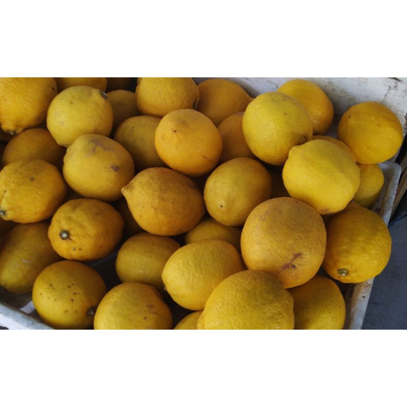 

lemon import segar (import china)