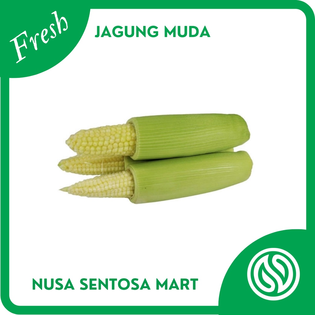 

Jagung Muda Kecil Putren Segar – 250g