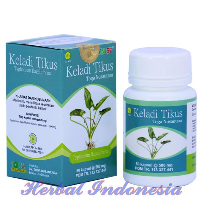 

BAYAR DITEMPAT Herbal Keladi Tikus Toga Nusantara Obat Kanker /OBAT HERBAL ASAM URAT/OBAT HERBAL PELANGSING/OBAT HERBAL KOLESTEROL/OBAT HERBAL DIABETES