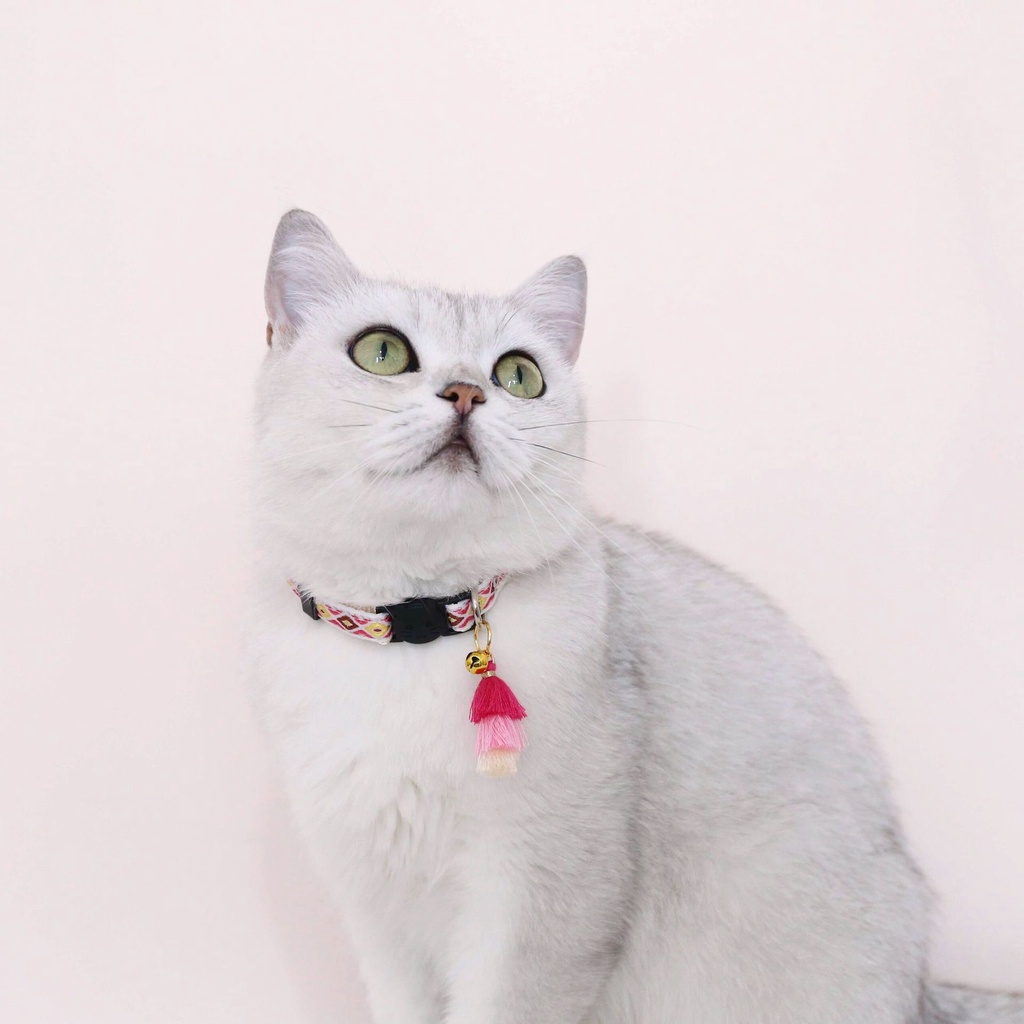 ★〓YUFeiPet〓★New Hot Pet Collars Cat Collar Breakaway Buckle Dog Collar Bells Pet Supplies Tassels Bell Pet Accessories