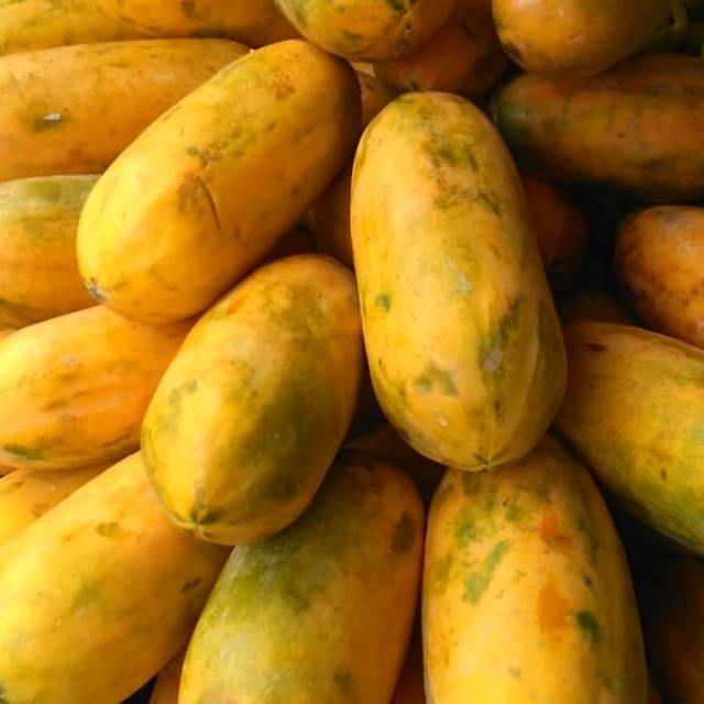 

PEPAYA CALIFORNIA