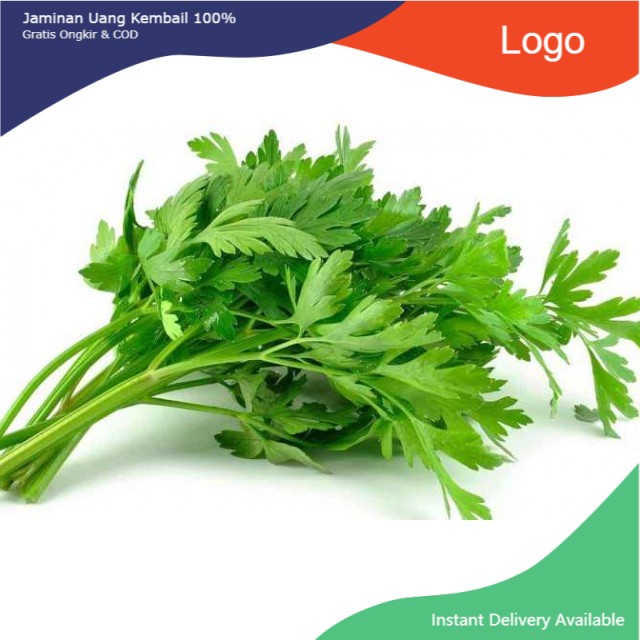 

FCW - Daun Seledri Per 200 Gram