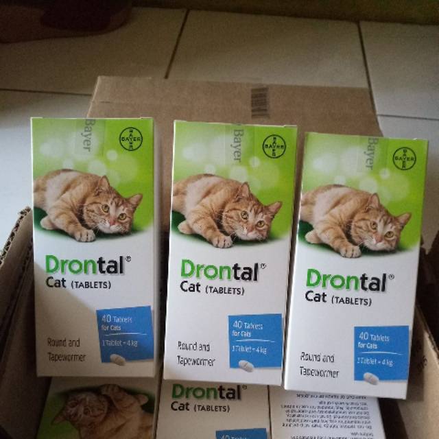 Drontal cat 1 box