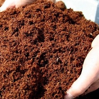 Cocopeat cocopit media tanam harga murah per 1 kg