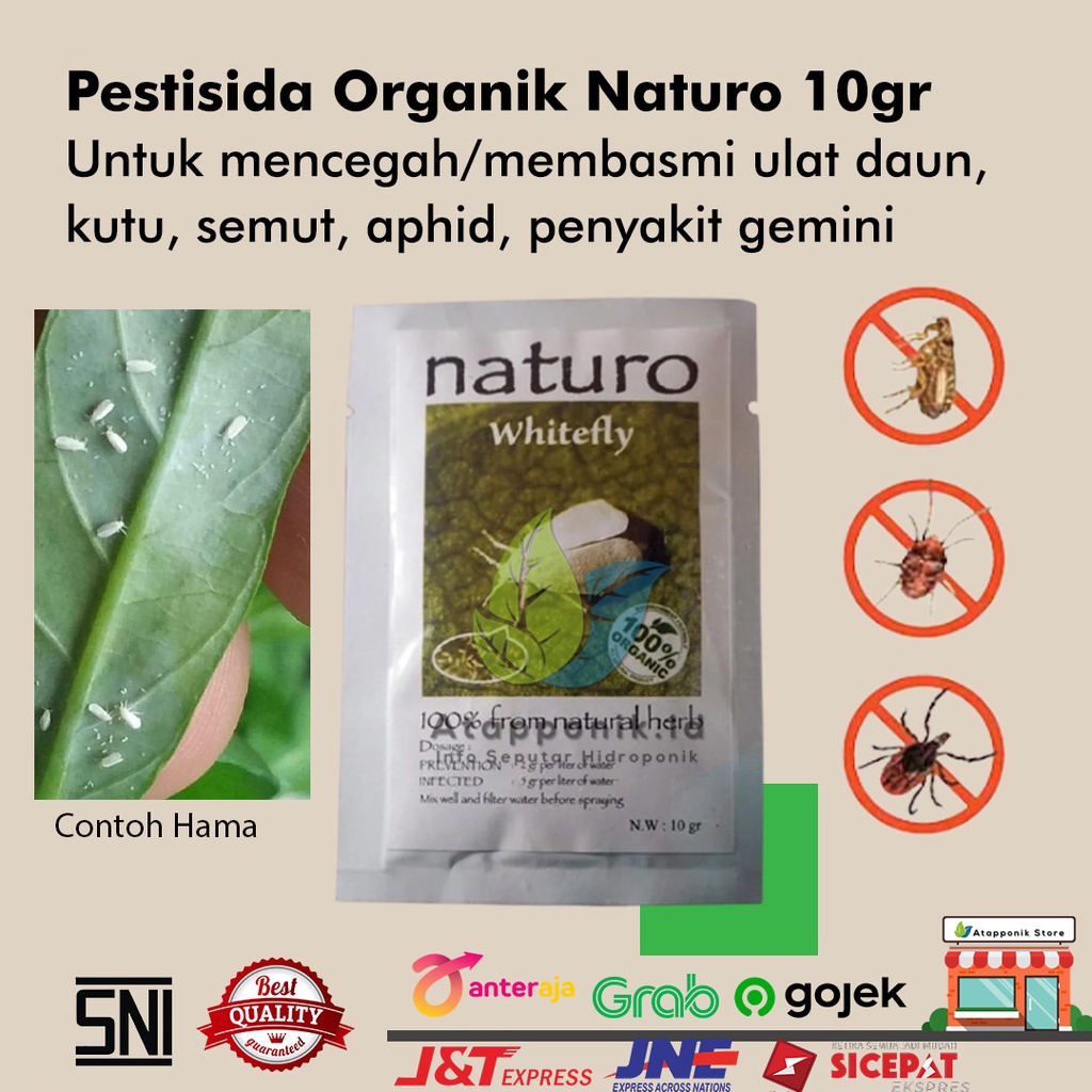 Naturo Whitefly Asli Pembasmi Kutu Kebul - Kutu Putih - Hama Aphid | Pestisida Nabati