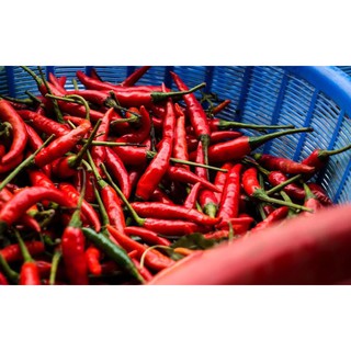 Cabe / Cabai Merah Keriting 100 gram / 1 ons  Shopee Indonesia