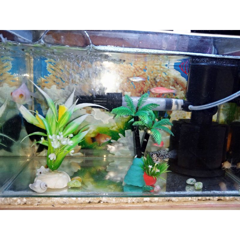 satu set lengkap perlengkapan aquarium
