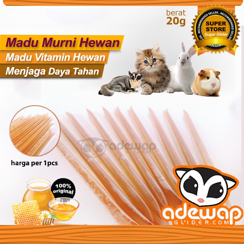 Honey Stick Madu untuk Belajar bonding menjinakkan sugar glider