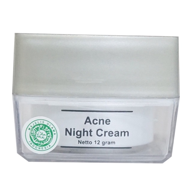 KRIM MALAM ACNE MSGLOW NIGHT CREAM JERAWAT