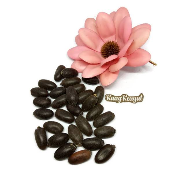 

Biji kepuh biji jangkang 50gram