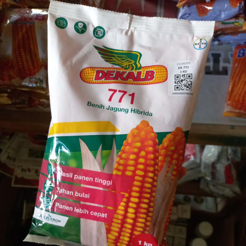 Benih Jagung Dekalb 771 1Kg