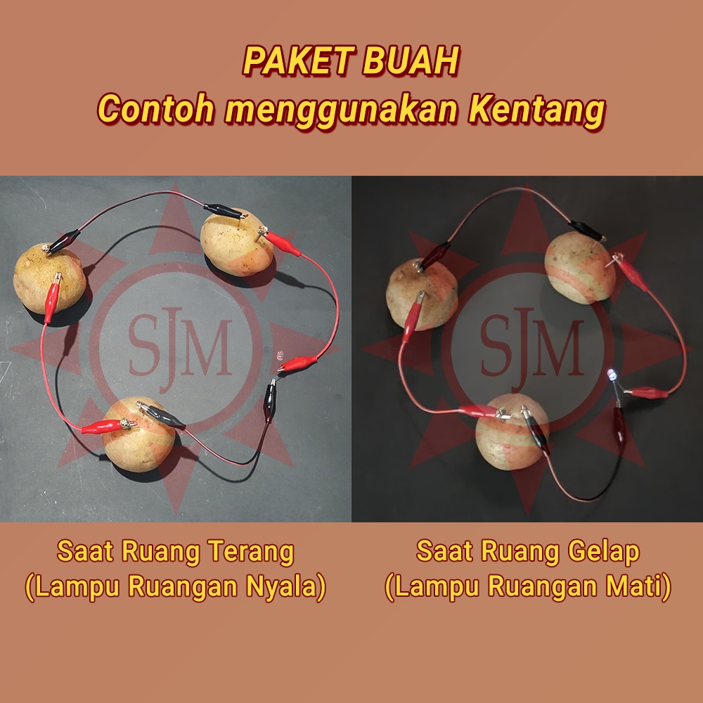 Paket Rangkaian Listrik Dioda / Jepit Buaya / Buah Praktek Sekolah