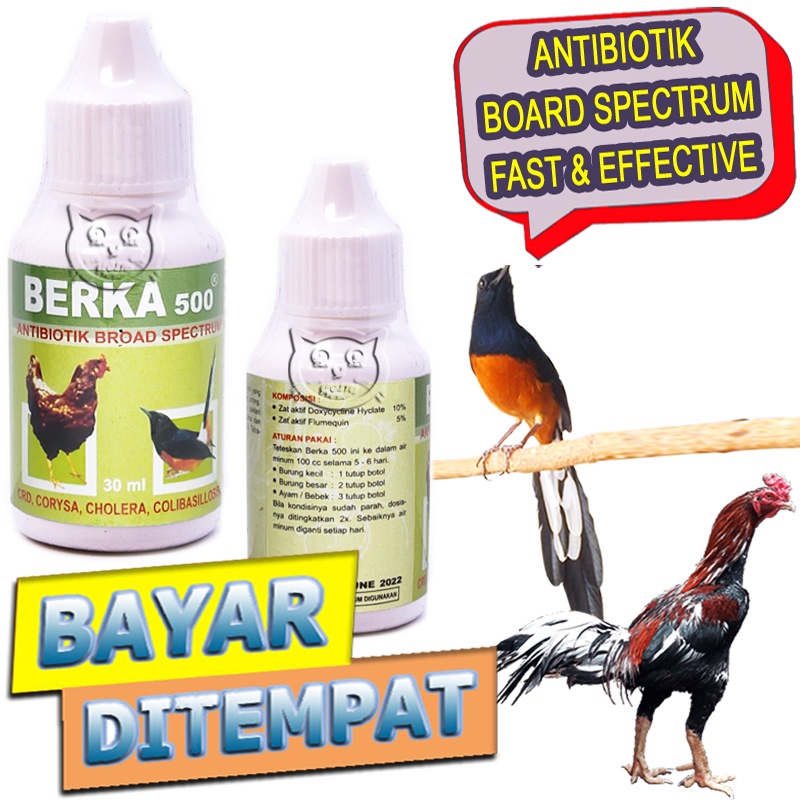 Antibiotik Berka 500 Obat Ayam Sakit Diare Flu Pilek Virus Bakteri