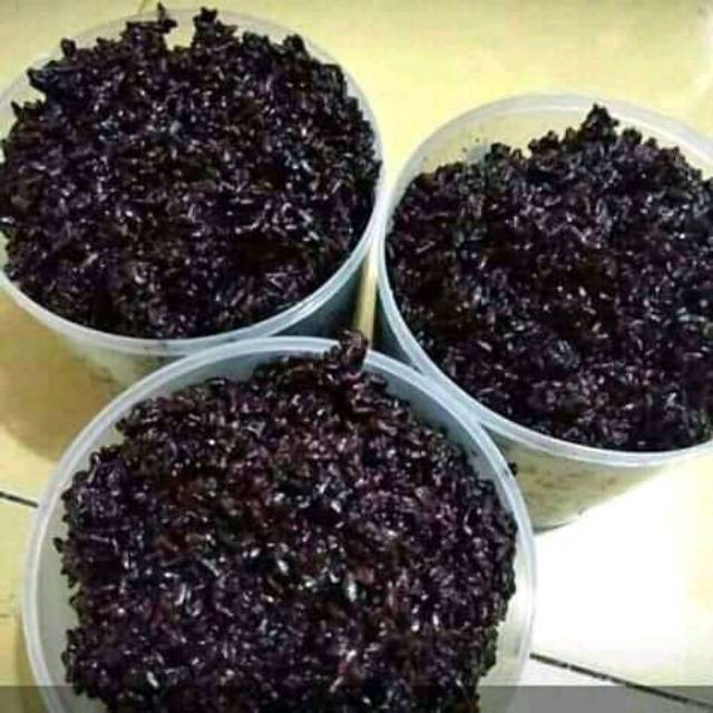 

tape ketan hitam