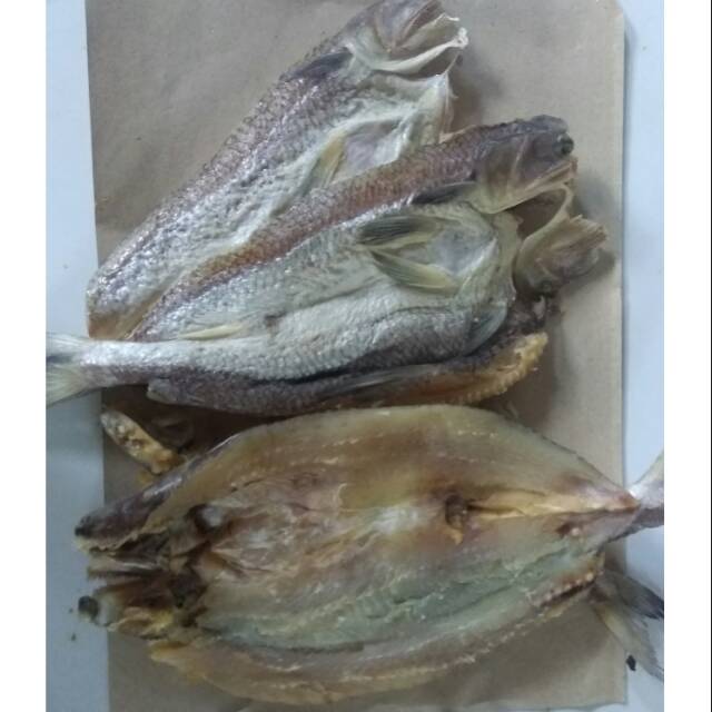 

IKAN ASIN GABUS LAUT
