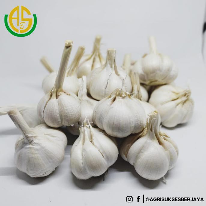 

Big Sale Bawang putih kating fresh berkualitas super import 1Kg Diskon
