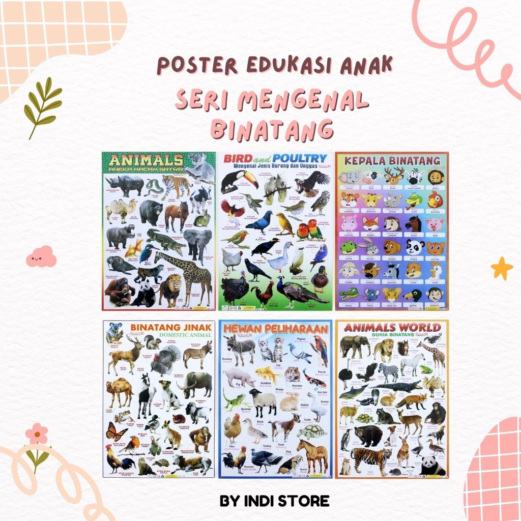 Poster Edukasi Anak Mainan Edukasi Anak Lembaran Animals World Macam Satwa Bird Poultry Binatang Jinak Hewan