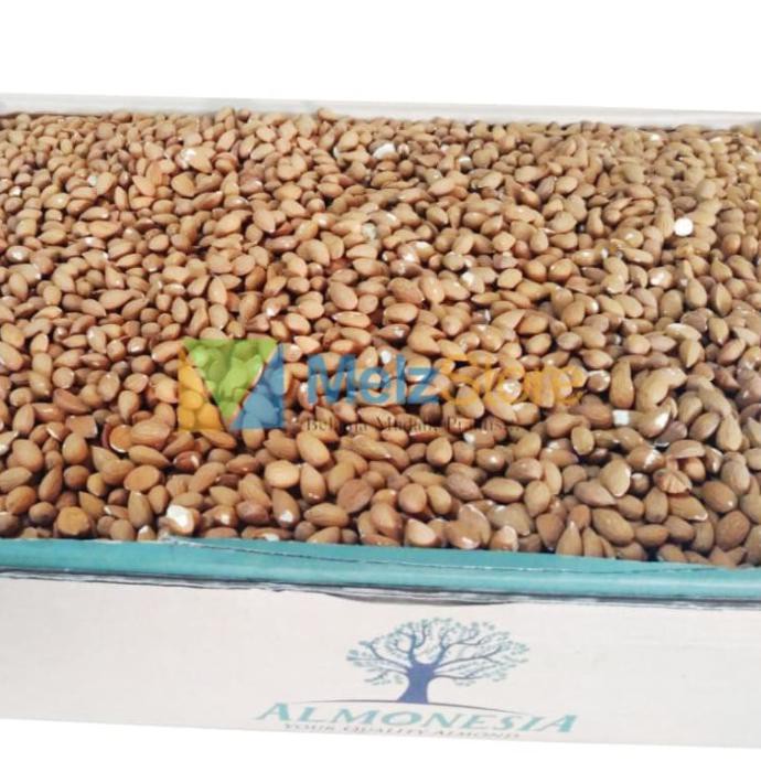 

Almonesia Kacang Almond Mentah Kupas Raw Whole Grade 2 22,68Kg Bibisale318