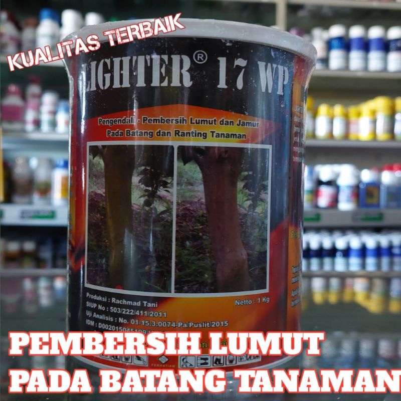 NEW PENGENDALI JAMUR PADA BATANG TANAMAN JERUK LIGHTER 17WP