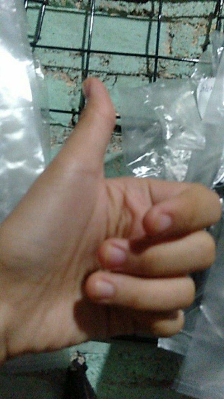 Guninco Bunga Matahari Artificial Imitasi Hiasan Meja Ruang Tamu Dekorasi Ruangan