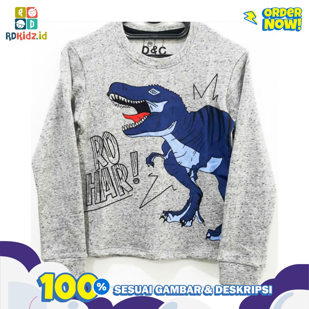 Rdkidzid Kaos Anak Laki Laki / Atasan Panjang Anak Laki Laki Karakter Dino Roar Grey