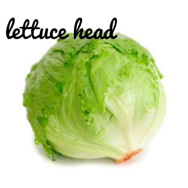 

Lettuce Head 500 gr