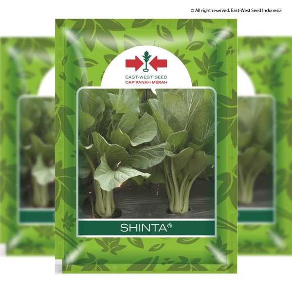 

Benih Sawi Hijau Shinta - 25gr Panah Merah