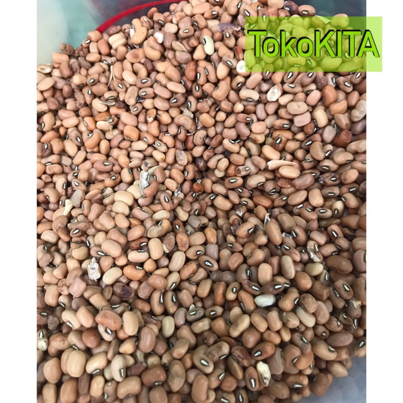 

Kacang Tolo / Kacang Tunggang 200 gr