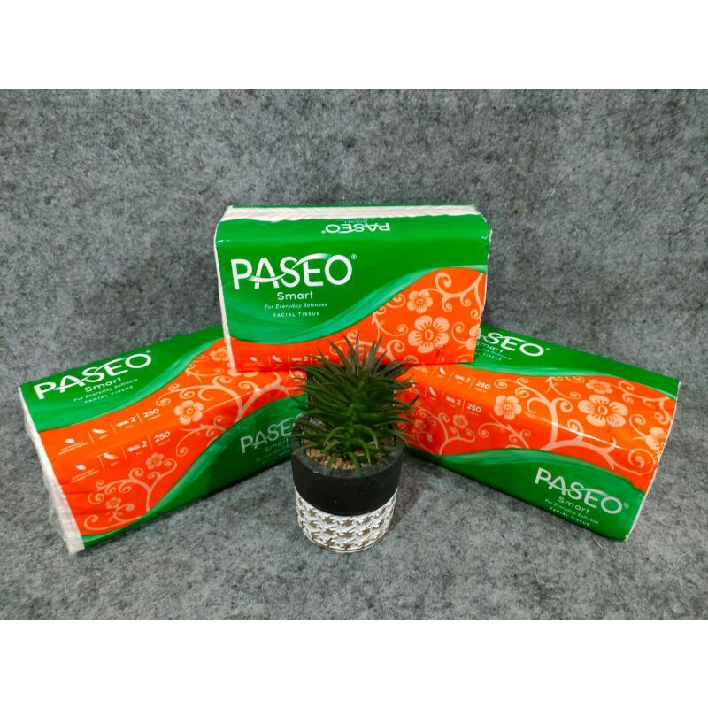 Tisu Passeo 250 sheet 2 ply