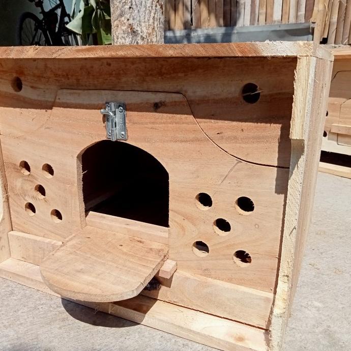 *****] Gupon merpati Dua pintu