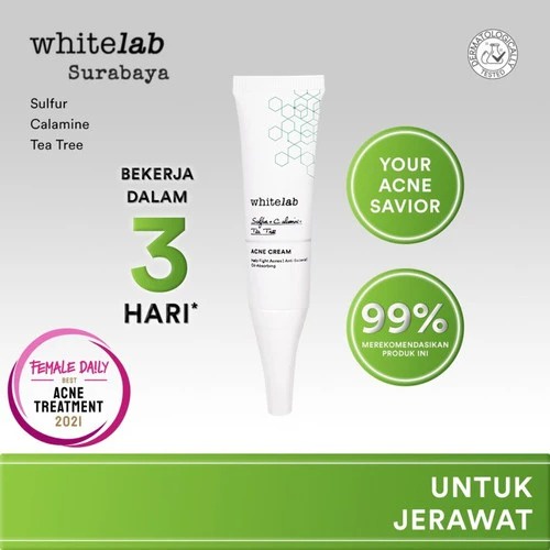 Acne Cream Whitelab Acne Cream 10ml Salep Jerawat