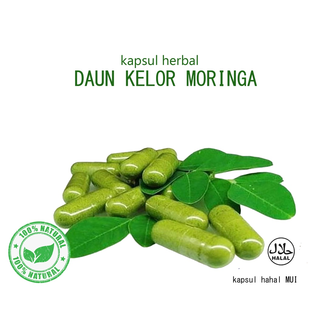 

kapsul daun kelor murni original