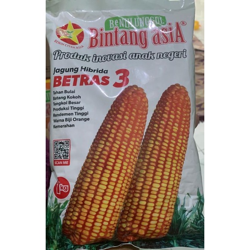 BENIH JAGUNG PIPIL /JAGUNG PAKAN / JAGUNG HIBRIDA BETRAS 3 kemasan 1Kg