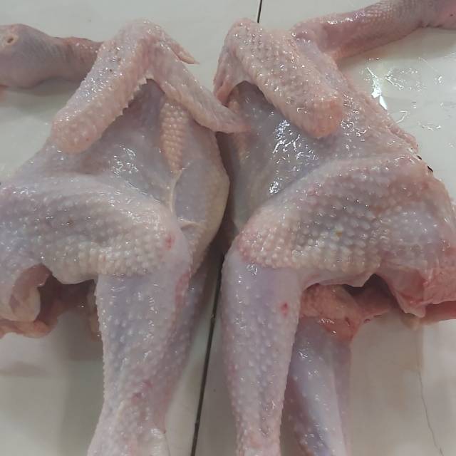 

Ayam Kalasan Segar