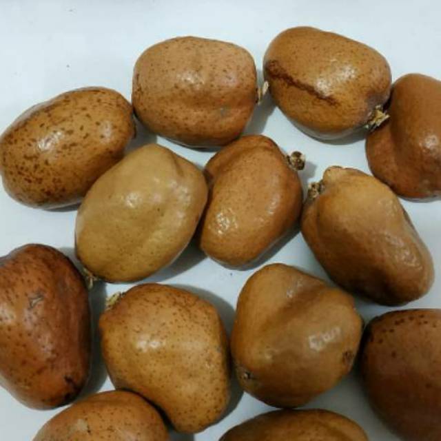 Buah Zuriat Asli Garansi 100 Uang Kembali Jika Terbukti Palsu Shopee Indonesia