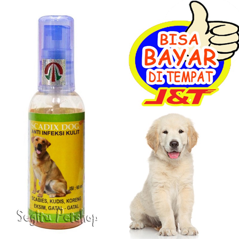 Obat Jamur Gatal Gatal Koreng Scabies Anjing Scadix Dog Shopee Indonesia