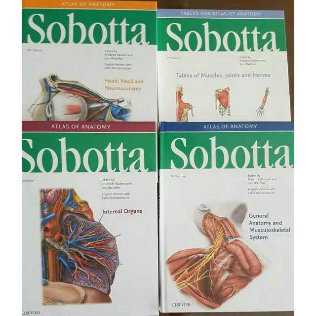 Sobotta Atlas Of Anatomy 16e