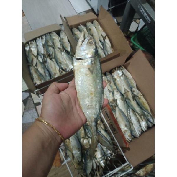 

ikan asin peda 1kg