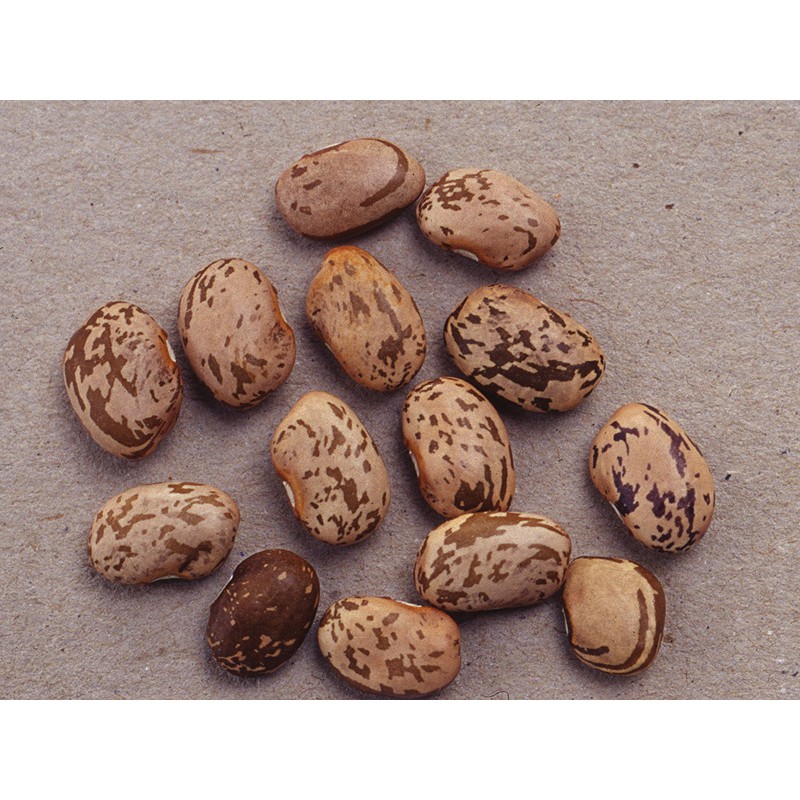 

Pinto Bean Kacang Pinto 1Kg