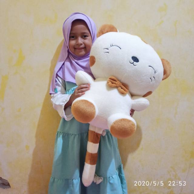 Boneka kucing cantik TANGGUNG murah bisa COSTUM nama photo