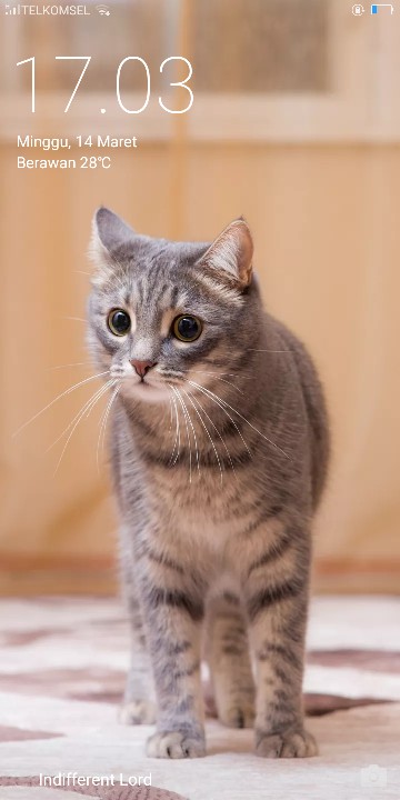 Daster Jumbo Selasih Baju Tidur Wanita Daster Modern Daster Batik Pekalongan