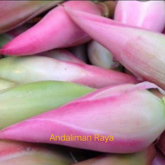 

sambal-aneka- kecombrang/kincung 250 gram -aneka-sambal.