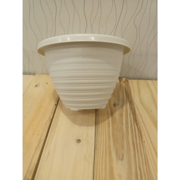 pot putih BEE / pot taiwan bee 223 / pot putih kuping / TAIWAN BEE 223